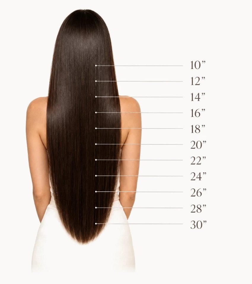 Hair length guide from 10 to 30 inches